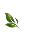 Nixe Massage