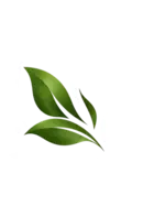 Nixe Massage